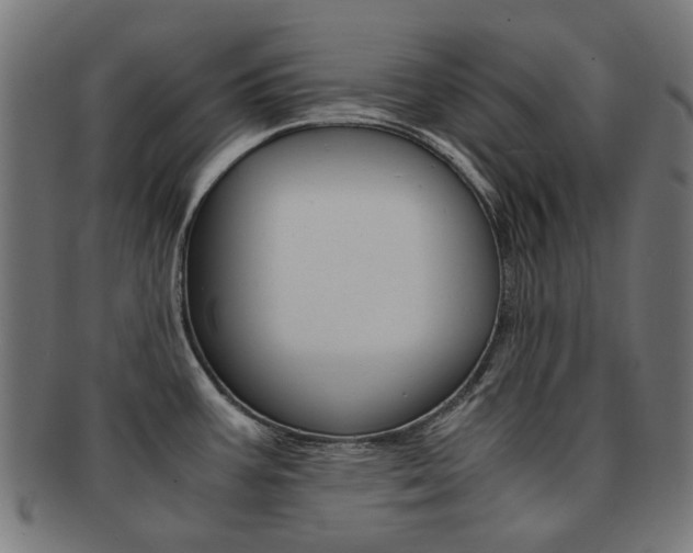 X0000092021387200709061321