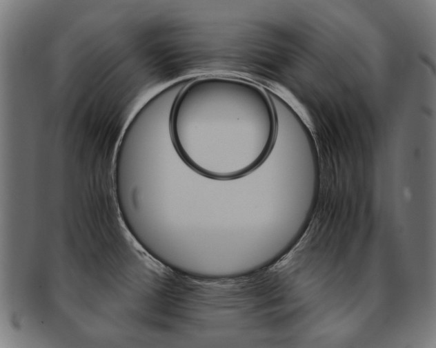 X0000092021388200709061321