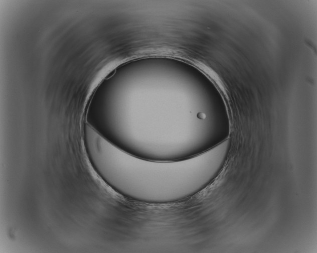 X0000092021389200709061321
