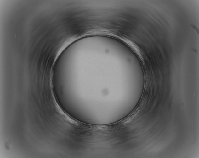 X0000092021390200709061321