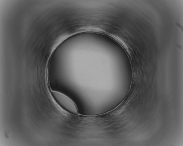 X0000092021391200709061321