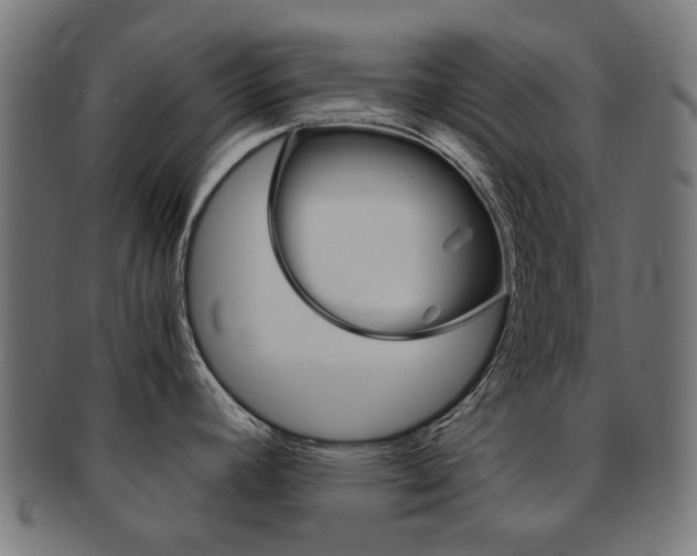 X0000092021392200709061321