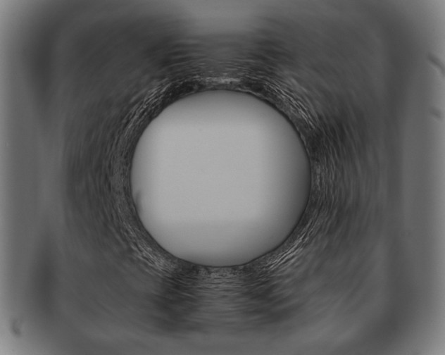 X0000092021393200709061320