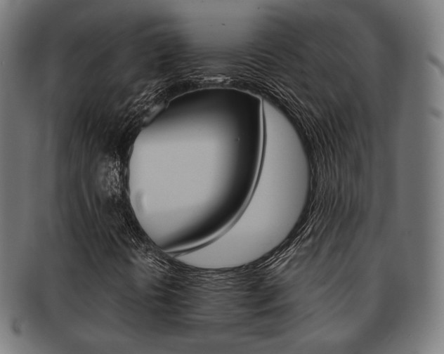 X0000092021394200709061320