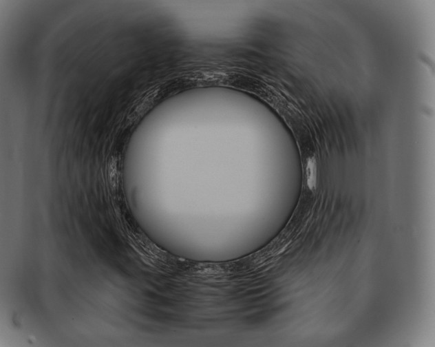 X0000092021395200709061320