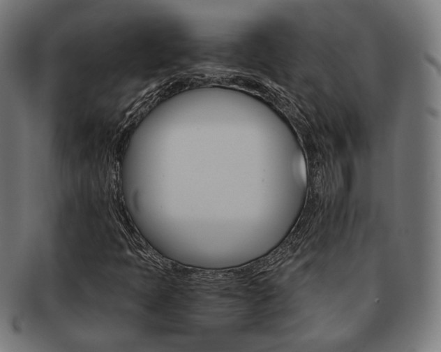 X0000092021397200709061320