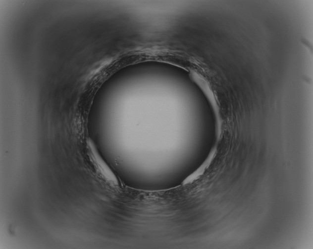 X0000092021398200709061320