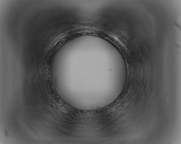 X0000092021399200709061320