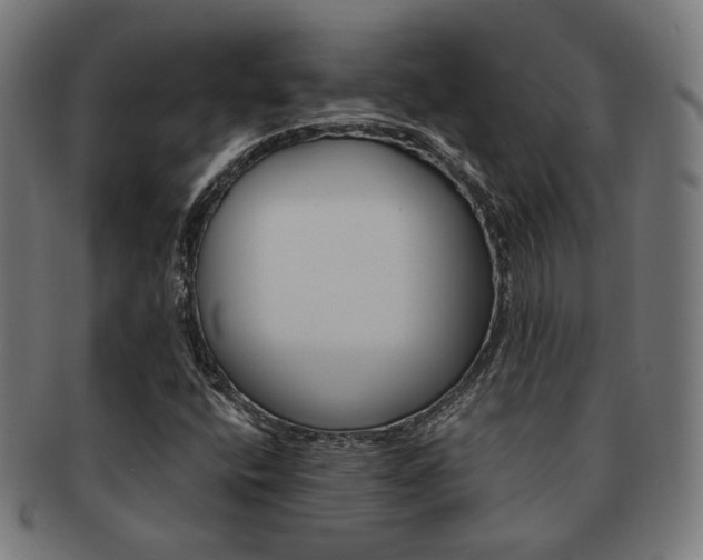 X0000092021400200709061320