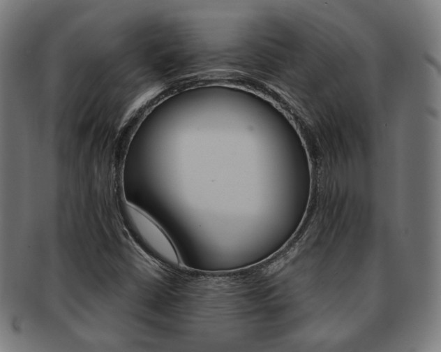 X0000092021402200709061320