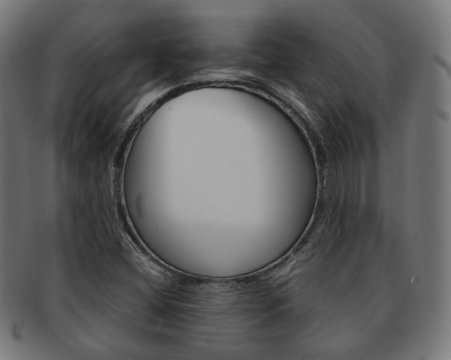 X0000092021404200709061320