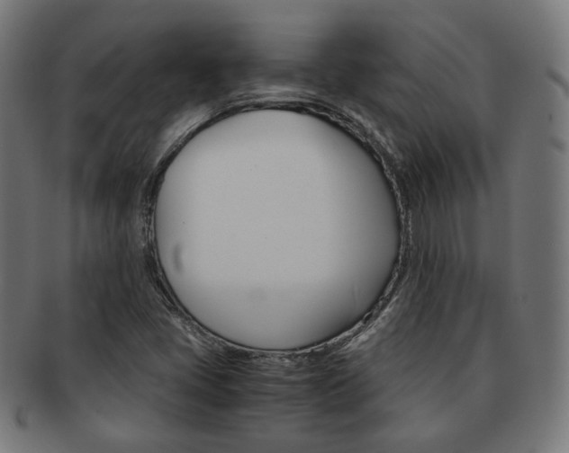 X0000092021405200709061320