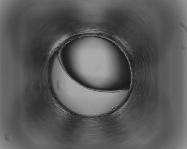 X0000092021406200709061320
