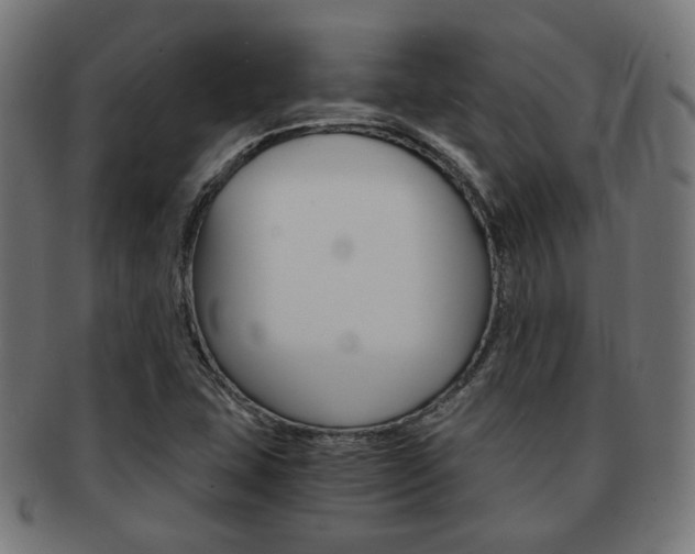 X0000092021407200709061320