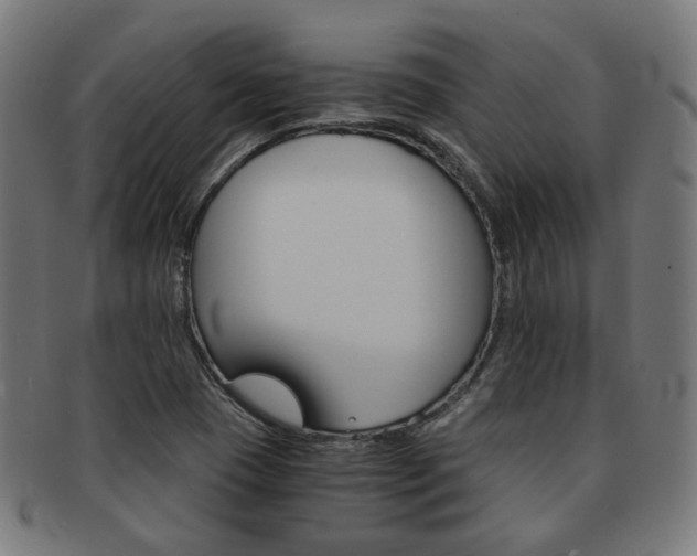 X0000092021409200709061320