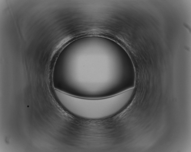 X0000092021410200709061320
