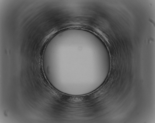 X0000092021411200709061320