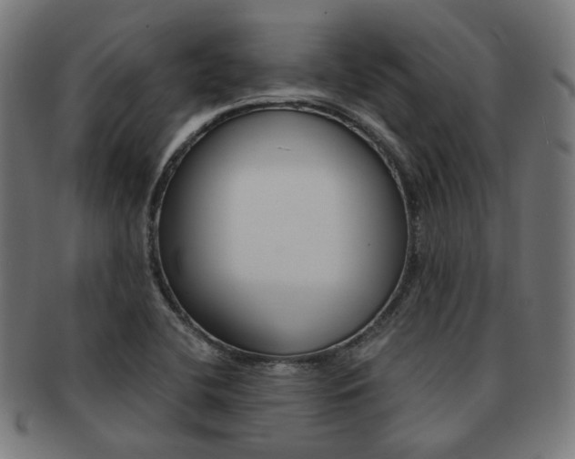 X0000092021412200709061320