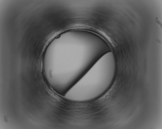 X0000092021413200709061320