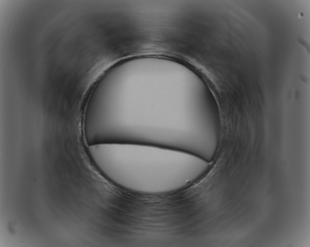 X0000092021415200709061320