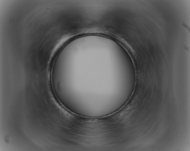 X0000092021416200709061320