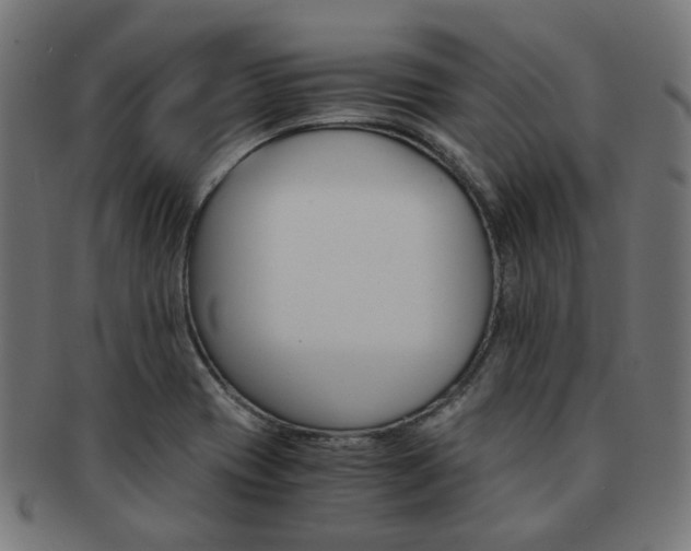 X0000092021417200709061320
