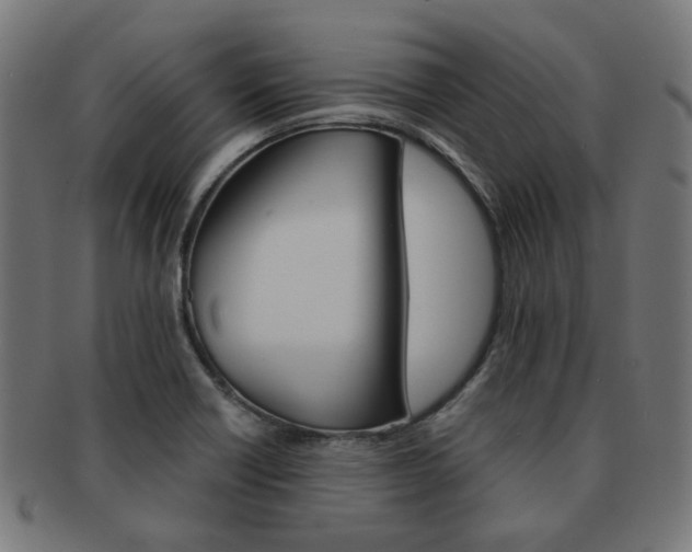 X0000092021418200709061320