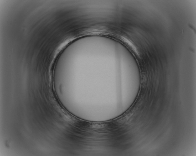 X0000092021419200709061320
