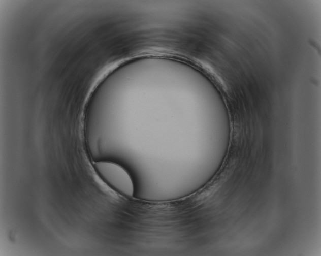 X0000092021421200709061320