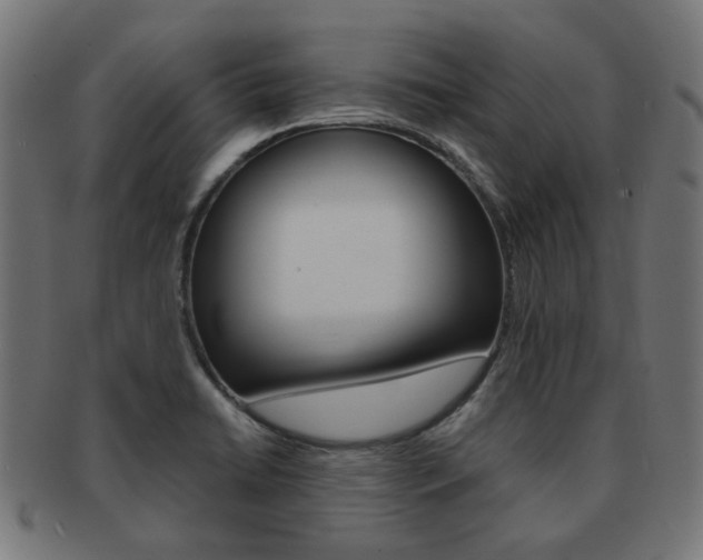 X0000092021422200709061320