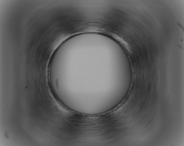X0000092021423200709061320
