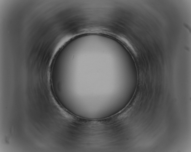 X0000092021424200709061320