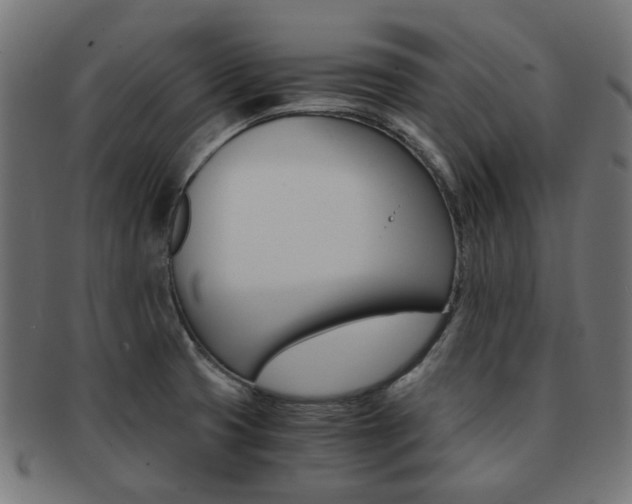 X0000092021425200709061320