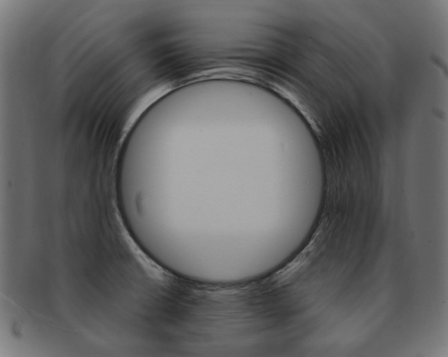 X0000092021426200709061320