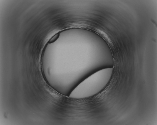 X0000092021427200709061320