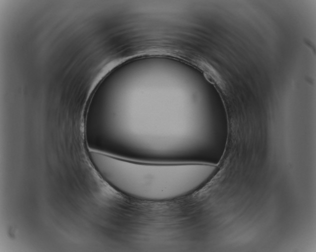 X0000092021428200709061320