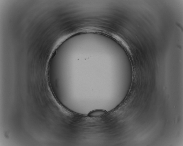 X0000092021429200709061320