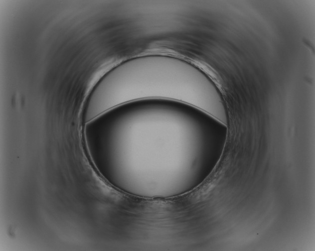X0000092021430200709061320