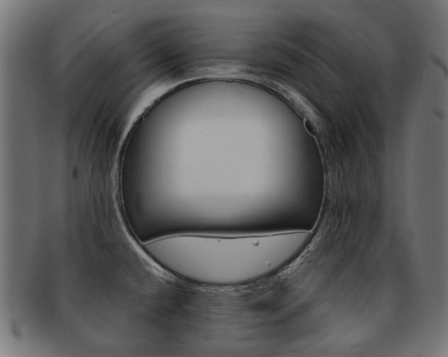 X0000092021432200709061320