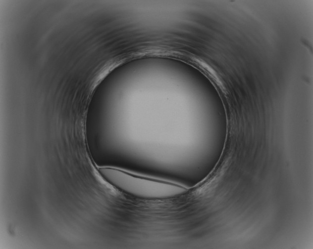 X0000092021433200709061320