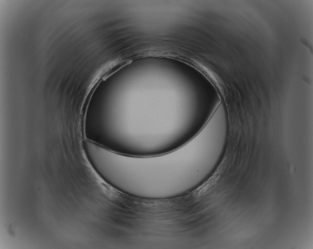 X0000092021434200709061320
