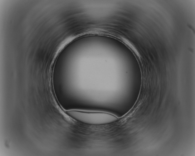 X0000092021437200709061320