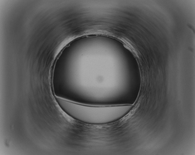 X0000092021438200709061321
