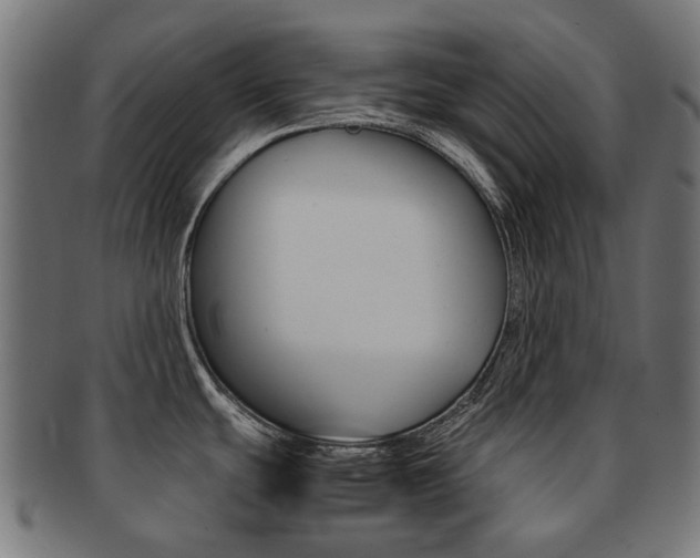 X0000092021439200709061321