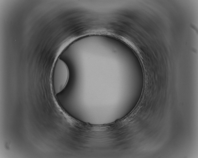 X0000092021440200709061321