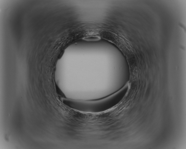 X0000092021441200709061320