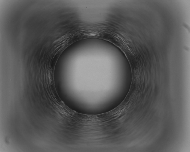 X0000092021442200709061320