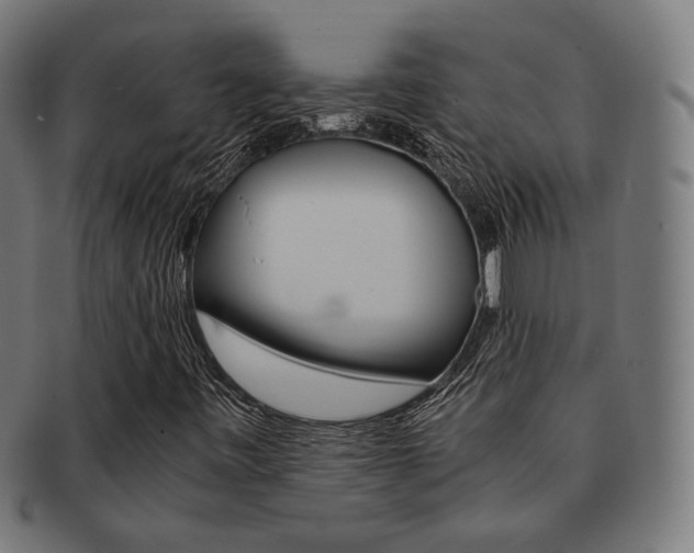 X0000092021443200709061320
