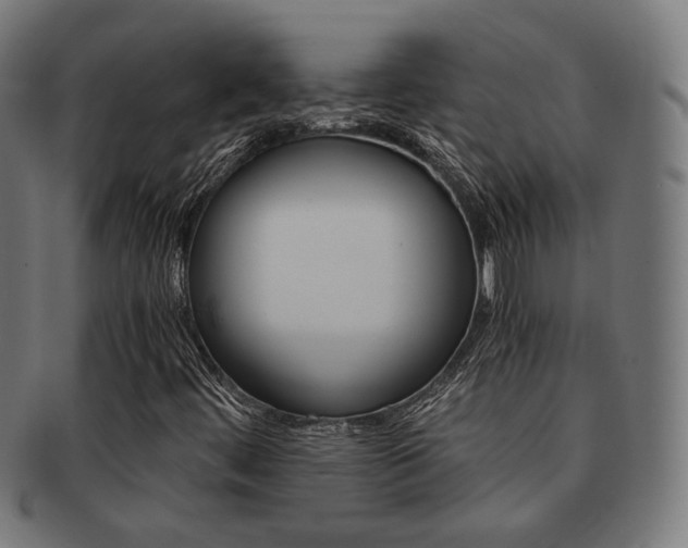 X0000092021444200709061320