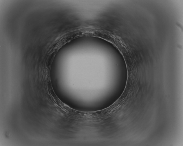 X0000092021445200709061320